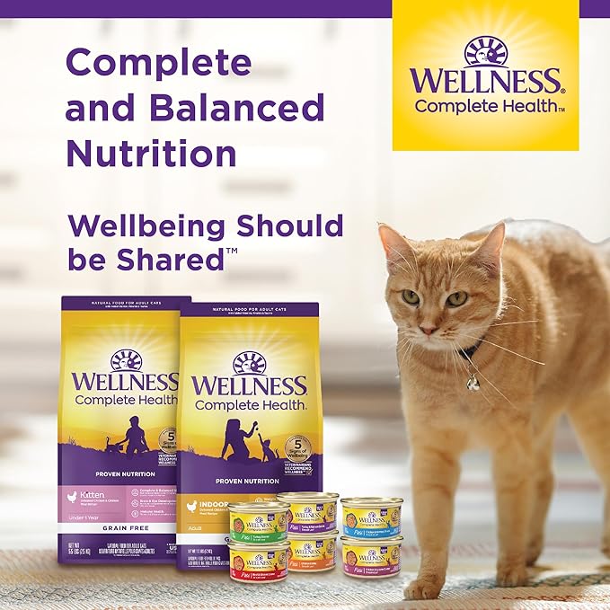 Wellness Complete Health Pate Adult Wet Cat Food,Natural,Protein-Rich,Grain-Free,3 Ounce,(Seafood Favorites Variety Pack),(Pack of 48)