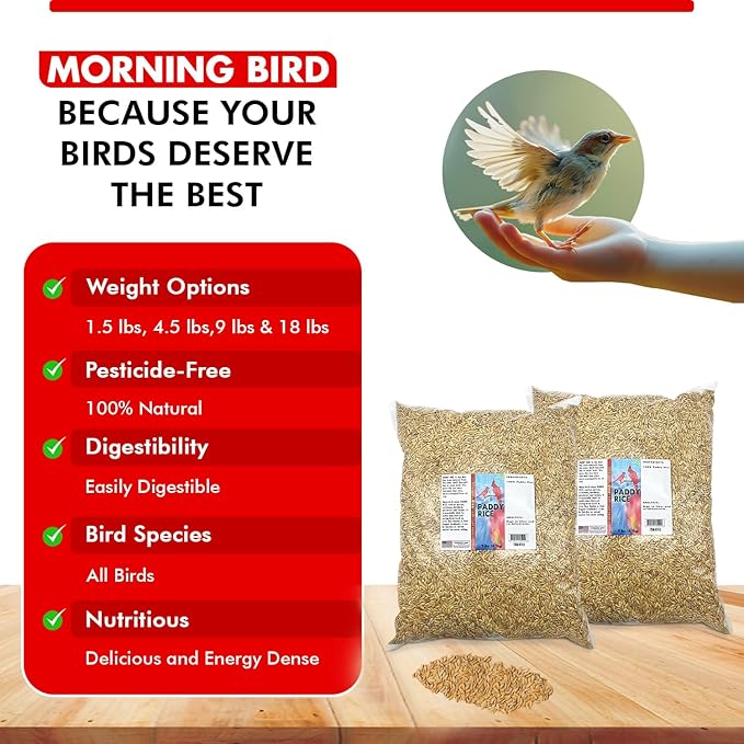 Morning Bird Paddy Rice 18 lbs (2-Pack, 9 lbs Each) Bird Seed – Nutritious Food with Natural Vitamins & Minerals – High Fiber – Supports Feather Health & Immunity – Ideal for Seed-Eating Birds