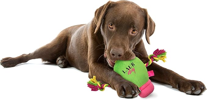 Pets First Plush Pet Toy with Rope & Squeaker by LaurDIY Super Cute Dog Cactus Toy