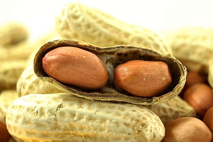 Wakefield Premium Virginia Peanuts In-Shell for Squirrels, Blue Jays & Wildlife - 25 LB Bulk Bag - Hand-Picked, Raw, Unsalted, High Protein Wild Bird & Animal Feed (50 LBS)