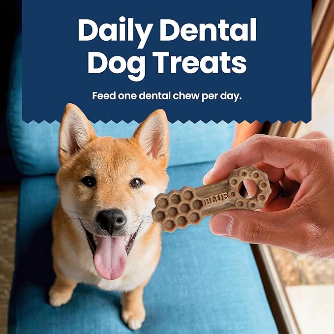 Blue Buffalo Medium Dental Chews for Dogs, Daily Dental Care Dog Treats Made in the USA with Natural Ingredients, Chicken & Spearmint (14 Count) (Pack of 4)