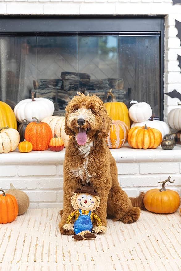 Fringe Studio Plush Dog Toy, On My Last Straw, Pet Shop Collection (289796)