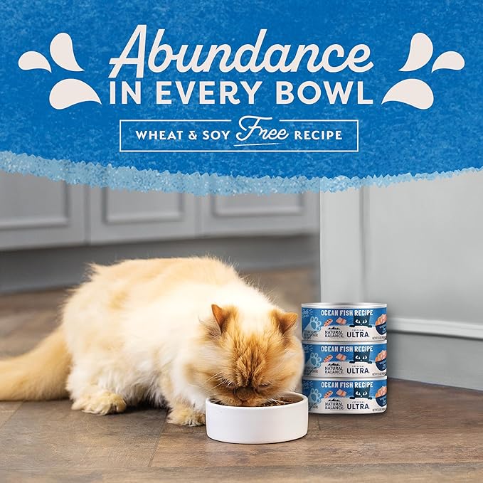 Natural Balance Original Ultra Adult Wet Canned Cat Food, Ocean Fish Recipe, 5.5 Ounce (Pack of 24)