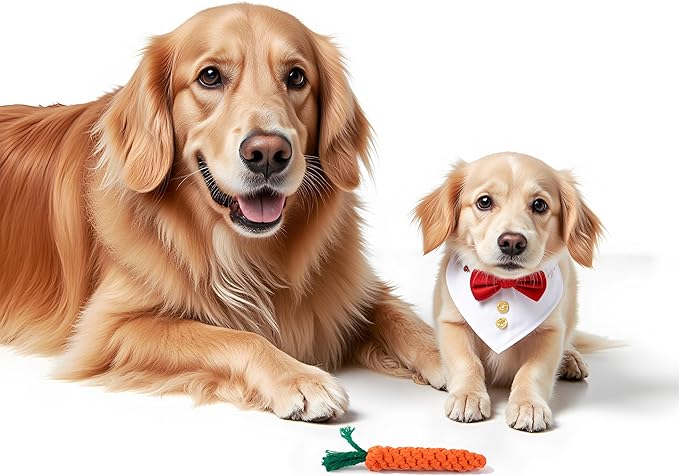 Handmade Braided Carrot Shape Chew Toy, Orange with Green Leaves, Durable Pet Dental Toy (2-Piece Set)