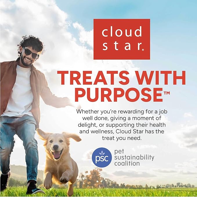 Cloud Star Wag More Bark Less - Dog Treats - Crunchy Biscuits - Grain Free Pumpkin - 14 oz Box