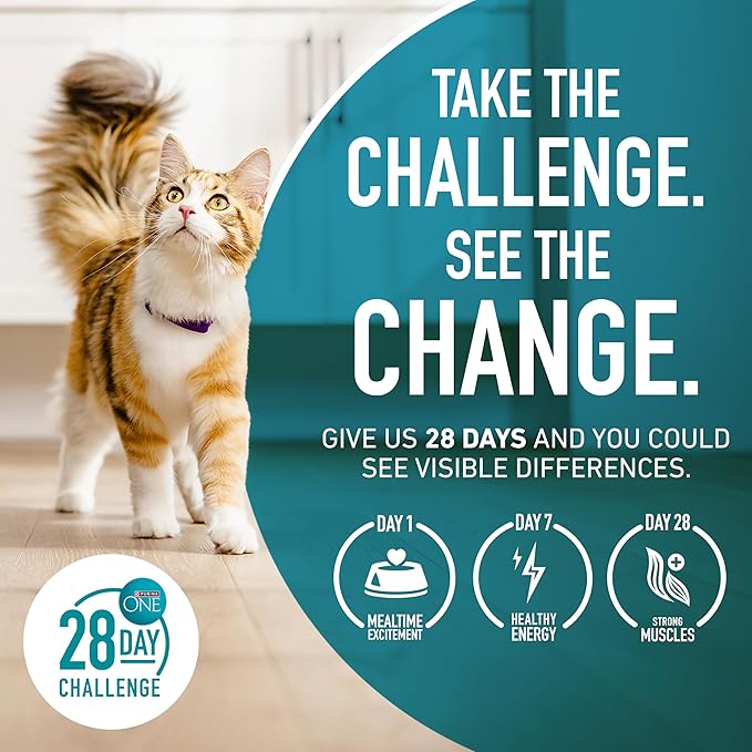 Purina ONE Sensitive Stomach, Sensitive Skin, Natural Dry Cat Food, +Plus Sensitive Skin and Stomach Formula - 16 lb. Bag