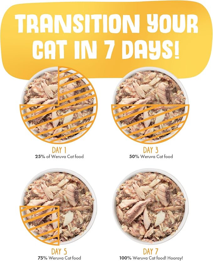 Weruva Classic Cat Food, Mideast Feast with Grilled Tilapia in Gravy, 10oz Can (Pack of 12)