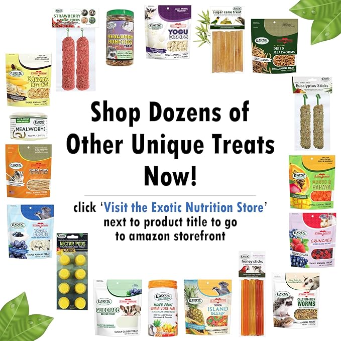 Exotic Nutrition Chicken Ecstasy (10 oz.) - Healthy All-Natural Backyard Chicken Feed - Grains, Dried Mealworms & Natural Extracts - Promotes Healthy Chickens & Eggs