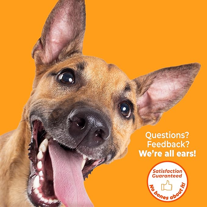 Nylabone Love Our Oceans Teddy Bear Power Chew Toy for Dogs, Recycled & Sustainable Dog Chew Bones, Made in USA, Beef Jerky Flavor, Large Dog Toys - Up to 50 lbs, 1 Count