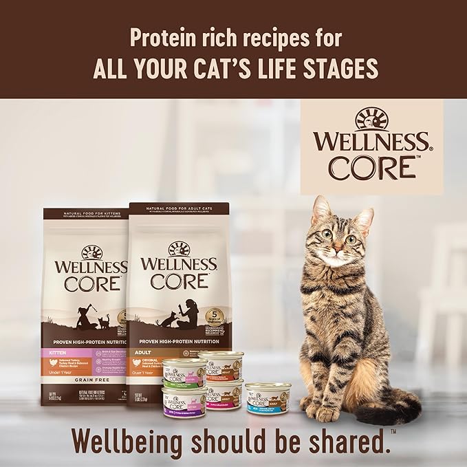 Wellness CORE Pate Kitten Canned Wet Cat Food, Natural, Protein Rich, Grain Free, Turkey and Chicken Liver Recipe, 5.5 oz, Pack of 12 Cans