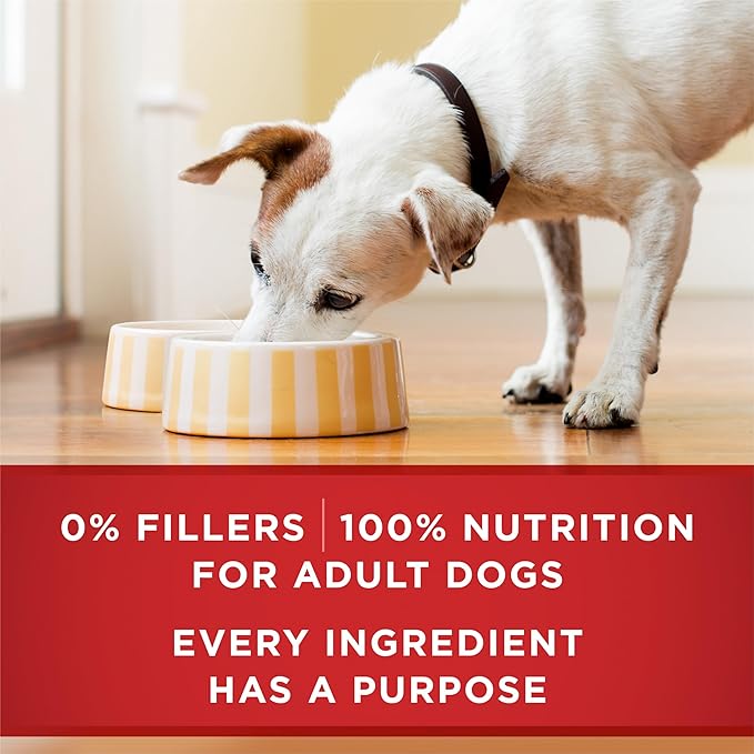 Purina ONE Tender Cuts in Gravy Chicken and Brown Rice and Beef and Barley Entrees High Protein Wet Dog Food Variety Pack - (Pack of 2) 13 oz. Cans