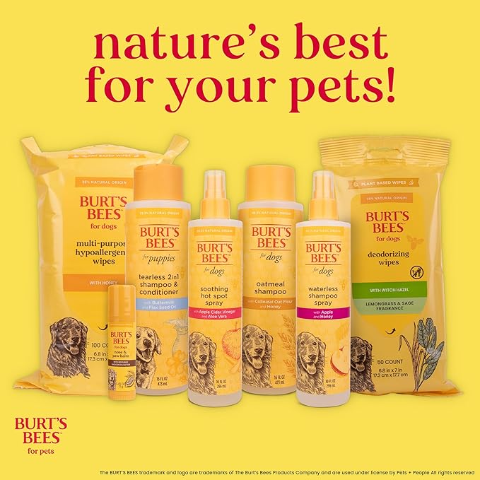 Burt's Bees for Pets Dog Detangling Spray, Natural Leave-In Coat Detangler & Dog Deodorizing Grooming Spray with Lemon, pH Balanced for Dogs, Paraben & Sulfate Free, 10 Fl Oz - 6 Pack