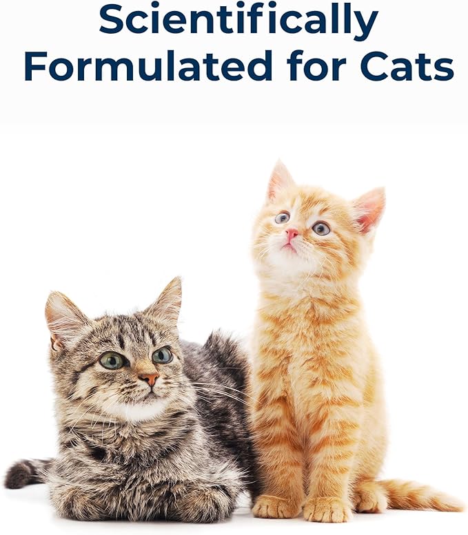 Pet-Ag Cat-Sip Real Milk - 8 oz, 4 Pack - Ready-to-Feed Snack for Cats & Kittens - Easy to Digest with 99% Lactose-Free, Low-Fat Grade A Milk - Encourages Hydration