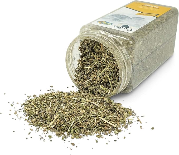 OurPets Cosmic Catnip Cosmic Catnip 3.5 oz Cup - Pack of 10