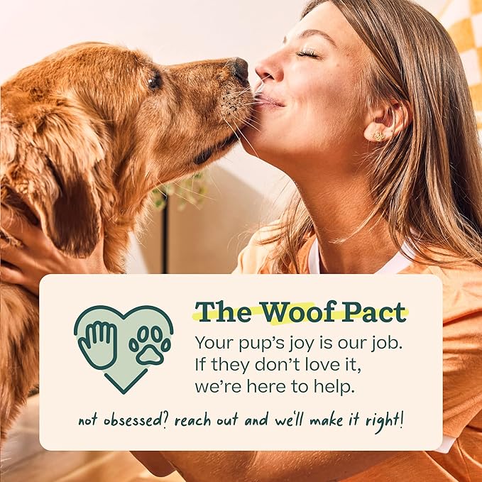 WOOF Pupsicle Birthday Pops - Healthy Dog Treats - Pre-Made Pupsicle Refills- Wholesome Ingredients - Naturally Sweet - Cake-Flavored Birthday Treat for Dogs - Small