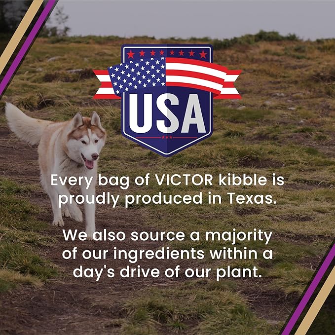 VICTOR Super Premium Dog Food – Professional Dry Dog Food – Super Premium Kibble with 26% Protein – Gluten-Free with Beef, Chicken & Pork Meals – for High Energy and Active Dogs & Puppies, 50lbs