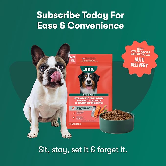 Jinx Premium Grain-Free Dry Dog Food, for All Lifestages - Real Salmon, Sweet Potato & Carrot Puppy Kibble with Superfoods for Immune Support & Probiotics for Digestive Support - No Fillers - 4lb