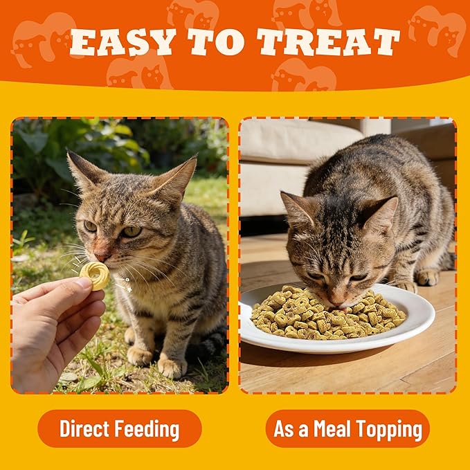 8 oz Pumpkin Treats Digestive Support Catnip Flavor Healthy Cat Snacks Training Biscuits Cat Treats