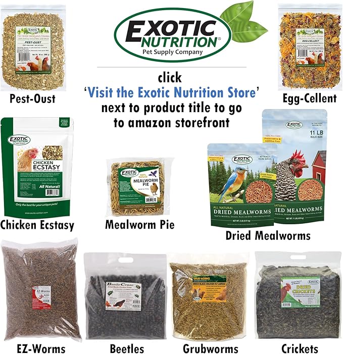 Dried Mealworms - 100% Natural, Non-GMO, High Protein, Bulk Insect Treat for Chicken, Laying Hen, Chick, Wild Bird, Bluebird, Duck, Goose, Turkey, Chickadee, Titmice, Wren, Reptile, Fish (1 lb.)