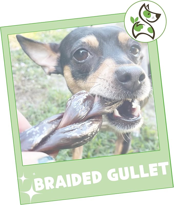 Nature Gnaws Braided Beef Gullet Chews for Dogs 5-6" (10 Count) - Long Lasting for Small and Medium Dogs - Natural Beef Jerky Dog Chew Bones