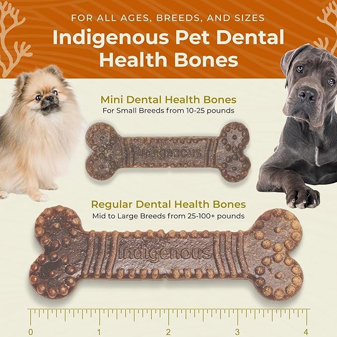 Indigenous Dental Health Bones Original Fresh Breath Flavor 17ounces (Pack of 2)