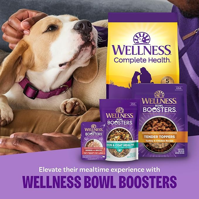 Wellness Complete Health Adult Dry Dog Food, Wholesome Grain Kibble, Natural, Lamb and Barley Recipe, 26 lb Bag