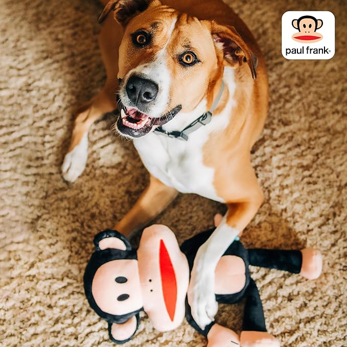 Multipet Paul Frank's Julius The Monkey Dog Plush Toy - Squeaky Toy for All Dogs - Extra Soft Plush - Stuffed Animal for Cuddling & Playing (10")