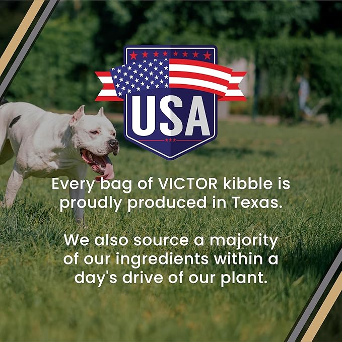 VICTOR Bully Fuel Dry Dog Food, 15 lb – Real Beef First Ingredient, High-Calorie Formula for Lean Muscle, Glucosamine & Chondroitin for Joint Health, Omega 3 & 6 for Skin & Coat