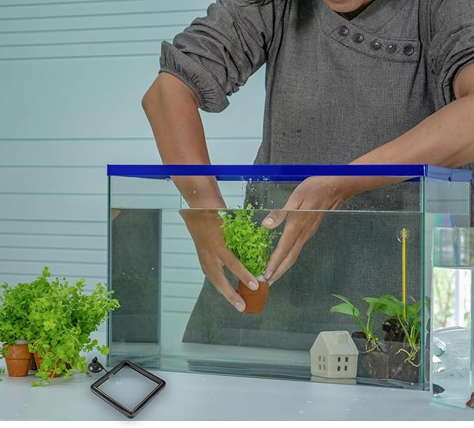 SunGrow Fish Food Feeding Ring, Stop Water Turbulence from Washing Food & Floating Plants into Filtration System, Suitable for Flakes & Floating Fish Pellets (3 Pieces)