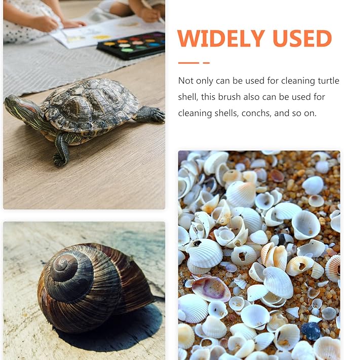 POPETPOP Turtle Shell Cleaning Brush Double-Sided Design with Flexible Bristles for Effective Mud and Dirt Removal on Aquatic Tortoise Shells and Aquarium Pets 6.29X1.96X0.59In