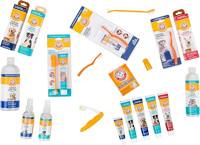Arm & Hammer for Pets Fresh Breath Enzymatic Dog Toothpaste, Vanilla Ginger Flavor, Safe for Puppies and Adult Dogs, Daily Baking Soda Dental Gel to Eliminate Bad Breath, 2.5 Oz