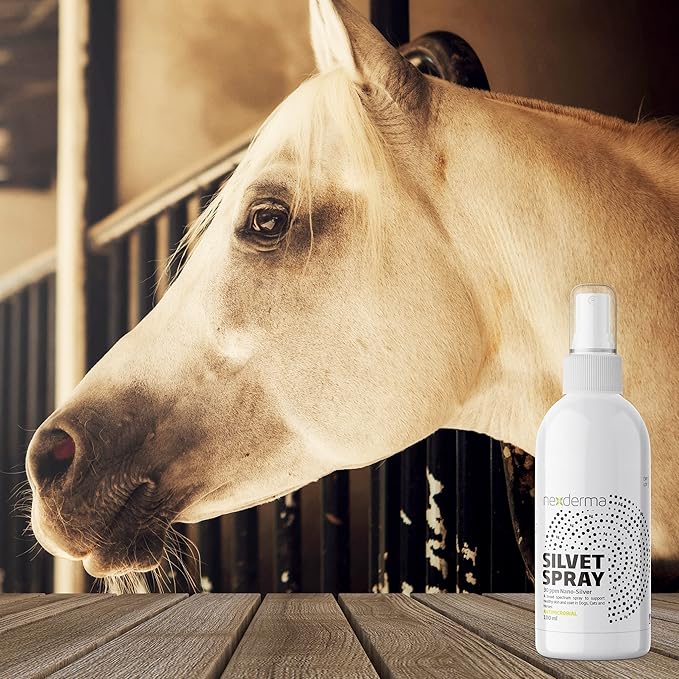 NEXDERMA Pet Wound and Hot Spot Spray, Soothing Relief and Protection for Itchy or Irritated Skin, Rashes and Sores | Safe for Dogs, Cats and Horse - 100ml, Pack of 1