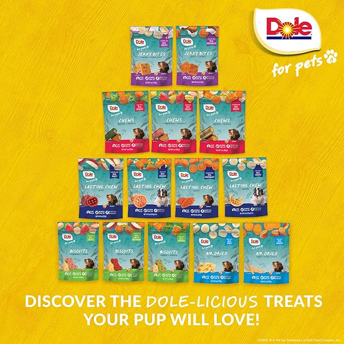 Dole for Pets Freshly Fetched Lasting Chew, Apple Flavor Dog Treats, Small Breeds, No Wheat, Corn, Soy, Artificial Flavors, Colors, or Animal Products, 8 Ounces, 10 Chews