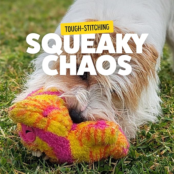 Bonkers Fuggler Oogah Boogah Squeaky & Plush Dog Toy for Playtime, Multi-Color, 8 inches