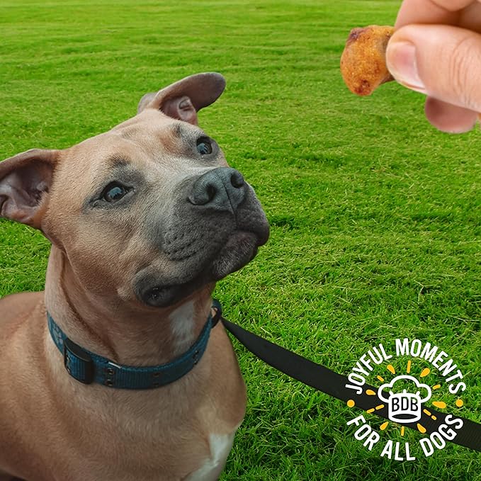 Blue Dog Bakery Protein Jerky Nuggets, Made w/Real Chicken & Apples, USA Chicken #1 Ingredient, Healthy Dog Treats, All Natural, 6 oz (Pack of 1)