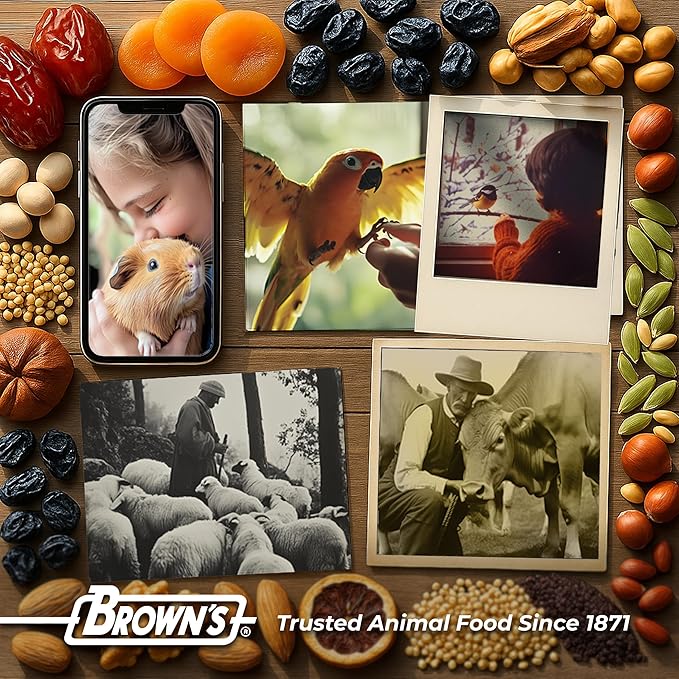 Tropical Carnival Brown’s Gourmet Macaw Bundle Gourmet Macaw Big Bites Food for Big Beaks 5lb and Fruit & Nut Big Bites Treats. 10oz