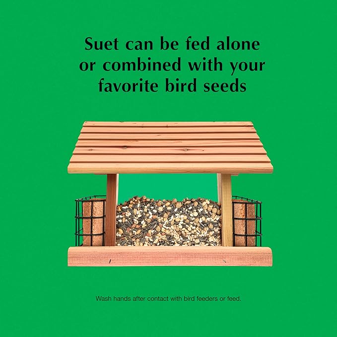 C&S Sunflower Suet Nuggets, Wild Bird Food for Woodpeckers, Chickadees, Nuthatches, and More., 27 Ounces