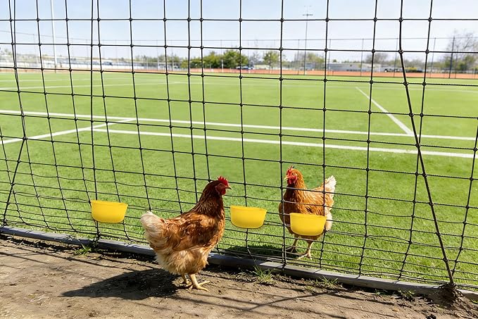5pcs Cage Cups 25oz Feeder and Waterer Chicken Food Bowl, Hanging Rabbit Drinker Cup Yellow Bird Water Container with Hooks,Pet Feeding Dish for Small Animals