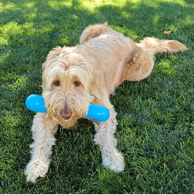 KONG Squeakz Dog Toy – Durable Rubber Fetch & Chew Toy with Squeakers, Interactive Enrichment Toy for Active Dogs (Stick, Medium)