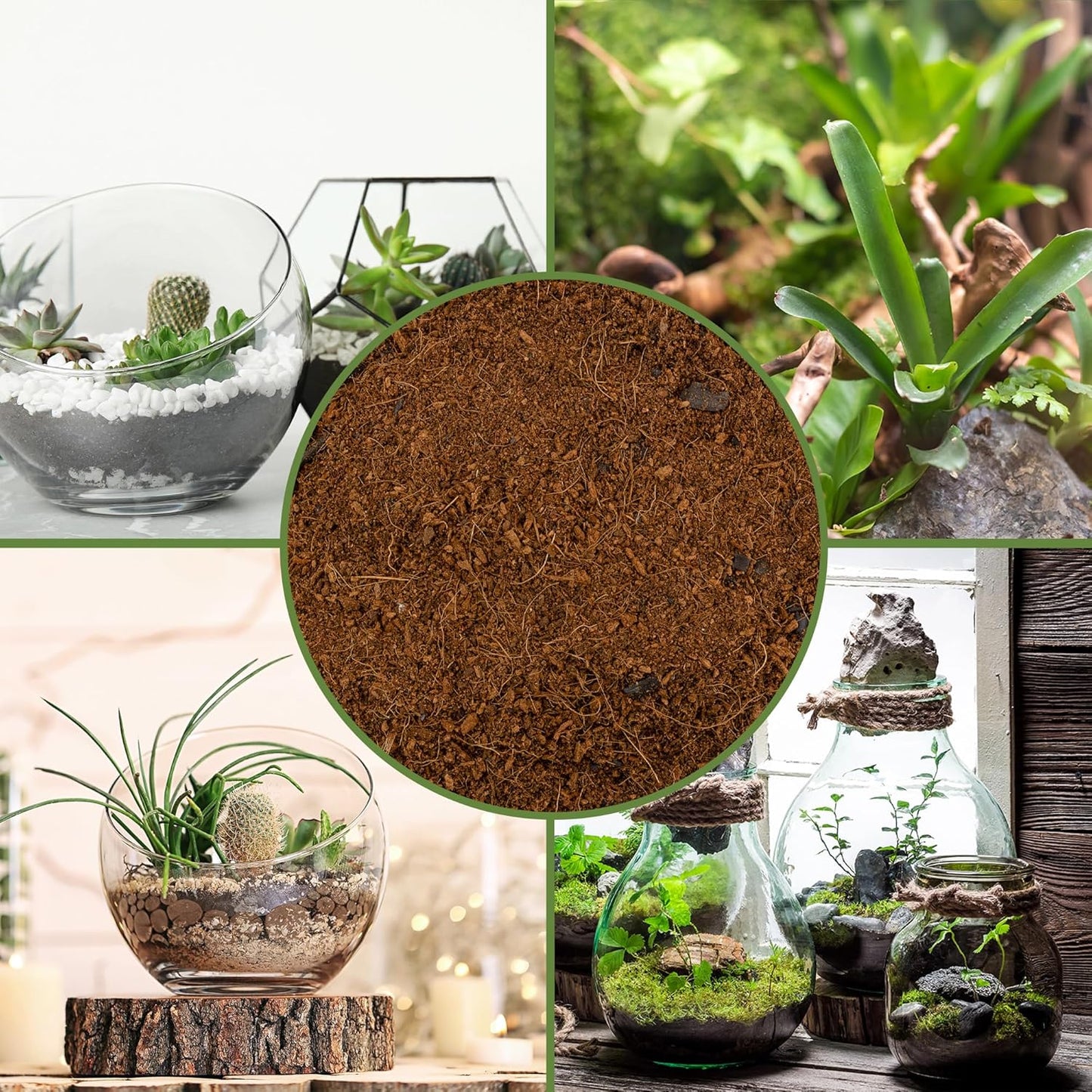 Terrarium Potting Soil Mix (4 Quarts), w/Blended Filtering Charcoal Custom Made for Terrariums