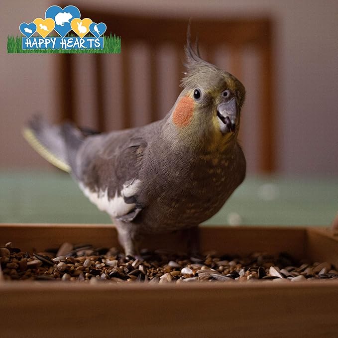 CountryMax Happy Hearts Total Blend Plus Cockatiel Food (3 Pounds)