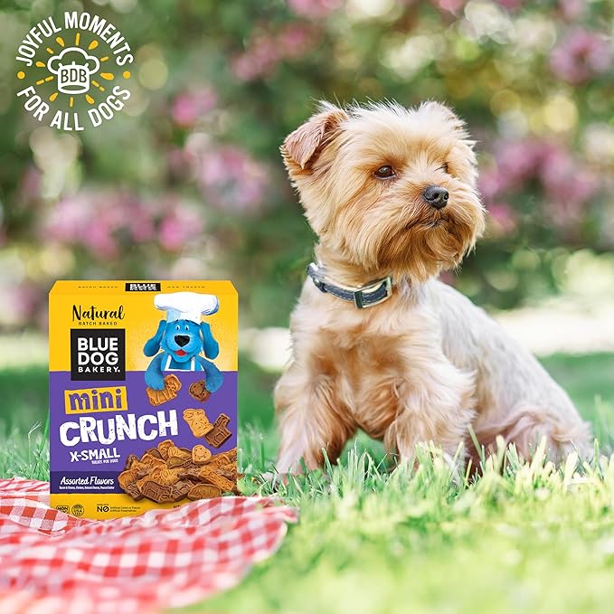 Blue Dog Bakery Natural Dog Treats, Mini Crunch, Assorted Flavors, 16.2oz, 3 Count