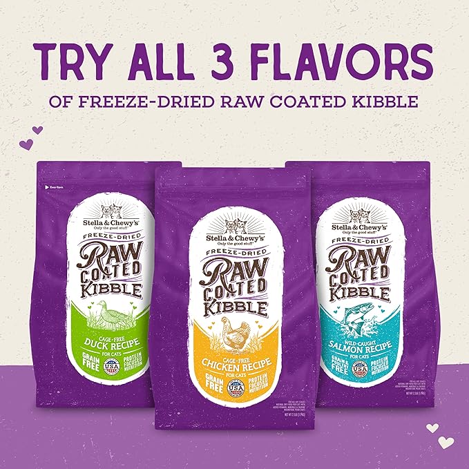 Stella & Chewy's Raw Coated Cat Food - High Protein, Grain-Free Kibble with Wild-Caught Salmon - Premium Digestive Support with Probiotics - Natural Small Kibble - Perfect For Picky Eater - 10 lb Bag