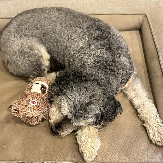 SPOT Fun Sloth Dog Toy - Soft, Stuffed, Squeaky, Plush Fabric Toy for Mini and Small Dogs and Puppies, Enrichment for Light Chewers and Cuddlers, 7in