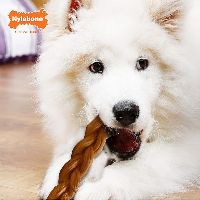 Nylabone Essentials Brown Nylon Braided Chew Dog Toy Large 1 pk