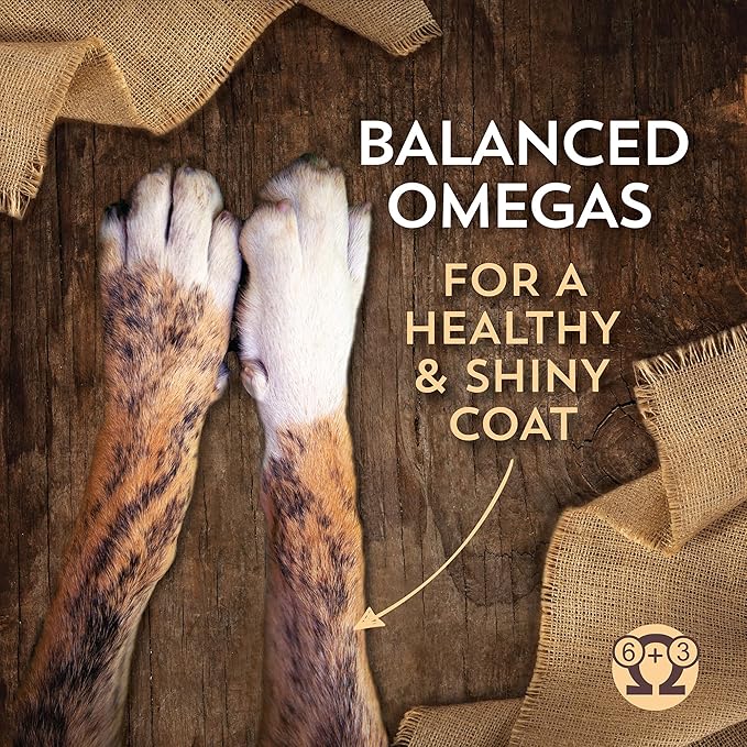 Wholesomes Sensitive Skin & Stomach Dry Dog Food, Lamb Protein & Rice Recipe, Highly Digestible Ancient Grains, 30 lb Bag