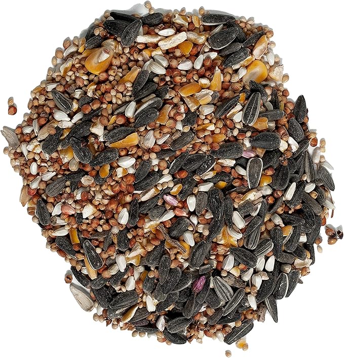 Wild Delight Sizzle N' Heat Bird Food (5 lb) and Wagner's Deluxe Treat Blend Wild Bird Food (4 Pound)