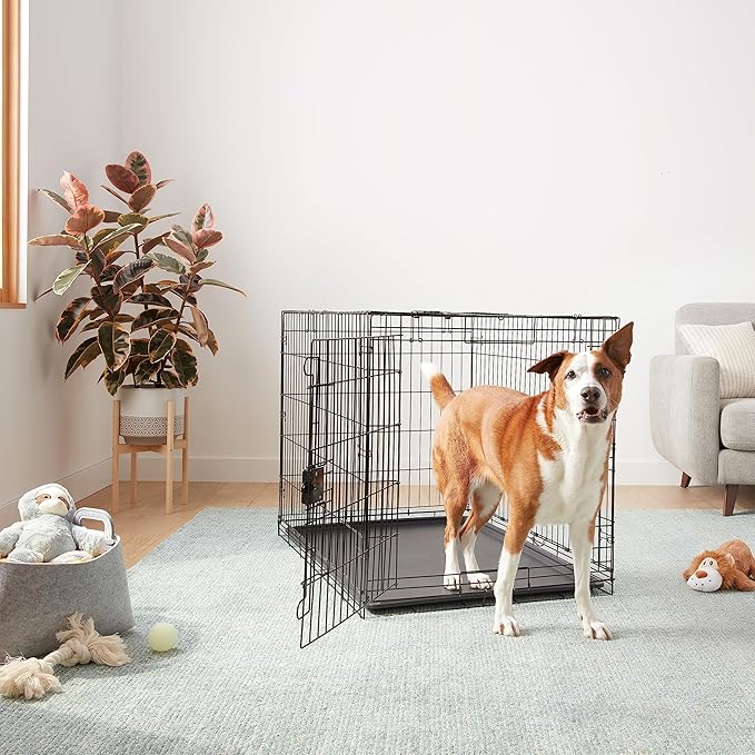 Amazon Basics Durable, Foldable Metal Wire Dog Crate with Removable Tray, Single Door, Divider Panel, 42 x 28 x 30 in, Black