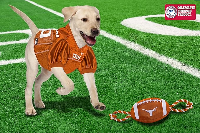 Pets First NFL Unisex NFL Nylon Football