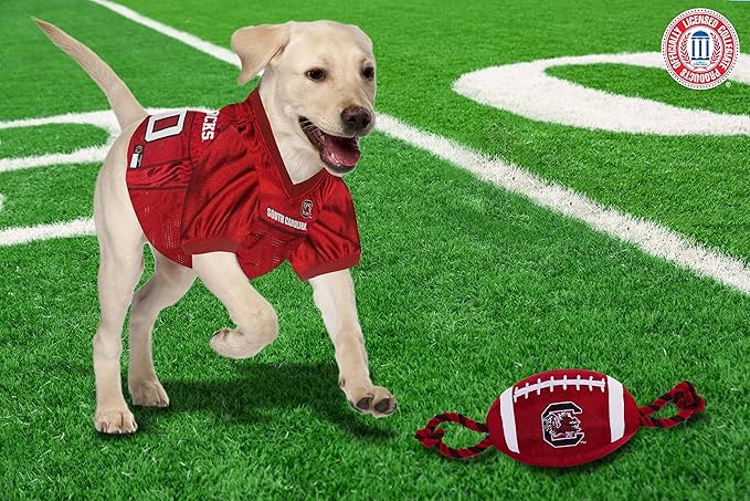 Pets First NFL Unisex NFL Nylon Football